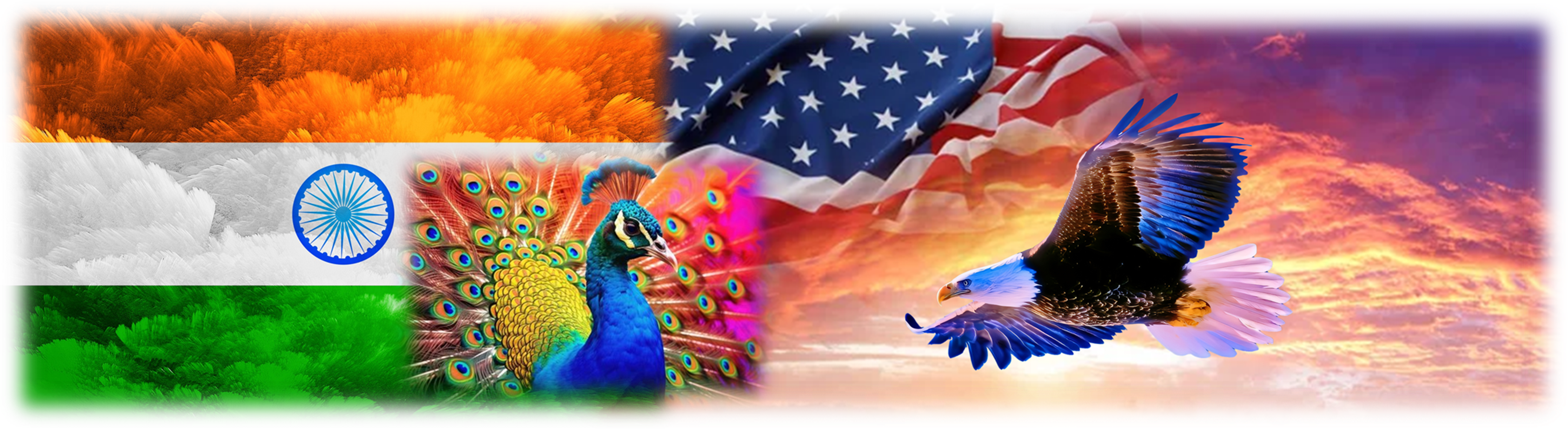 India and USA Flags with Eagle and Peacock